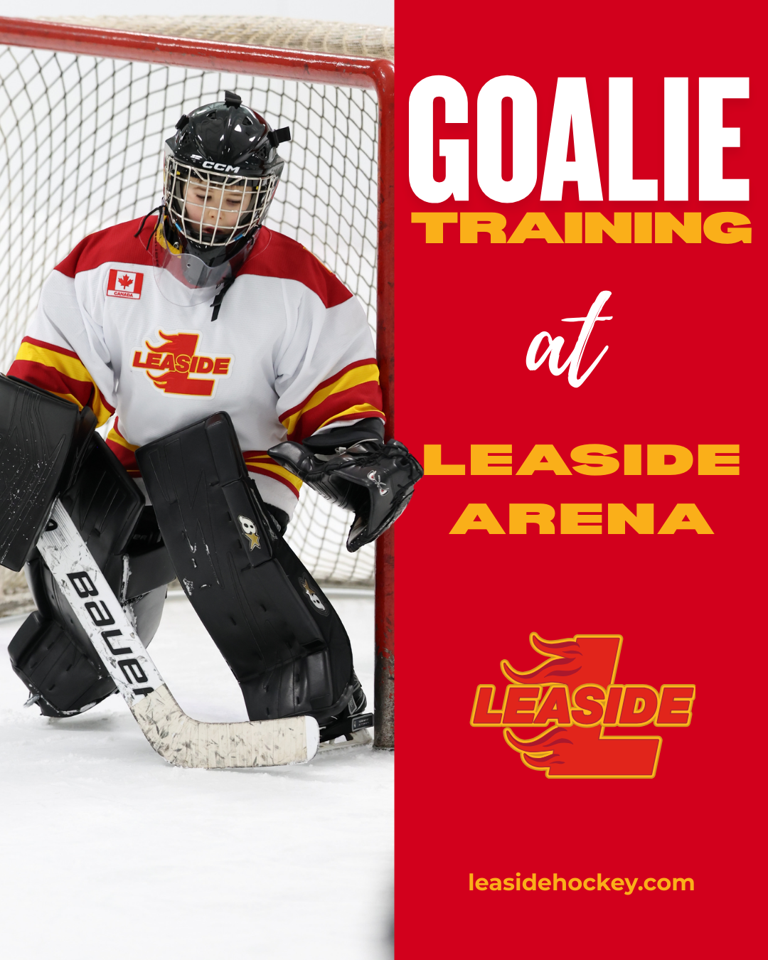 Goalie Training Generic Goalie Training Generic